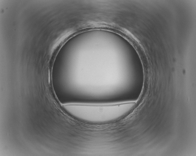 X0000068281269200604210907