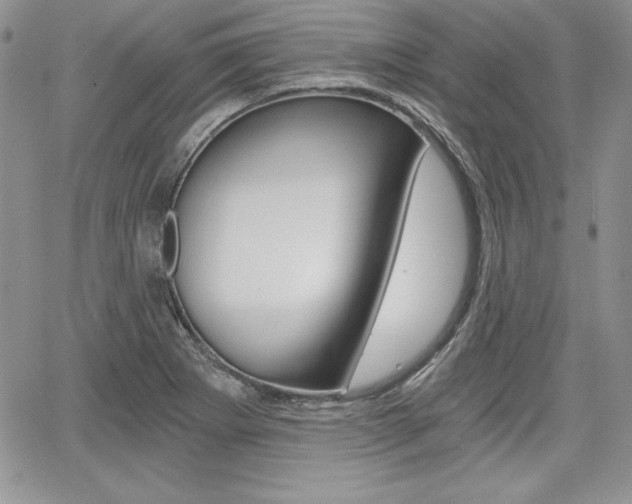X0000068281273200604210907