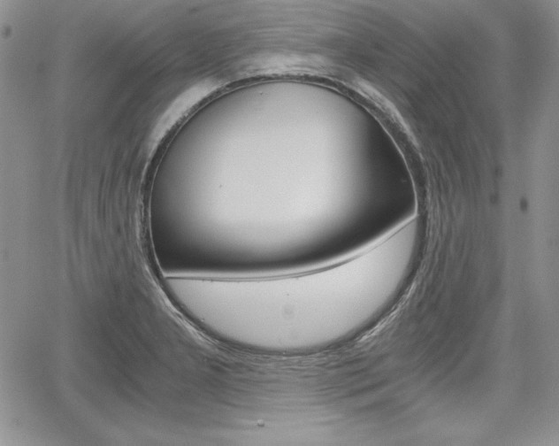 X0000068281277200604210907