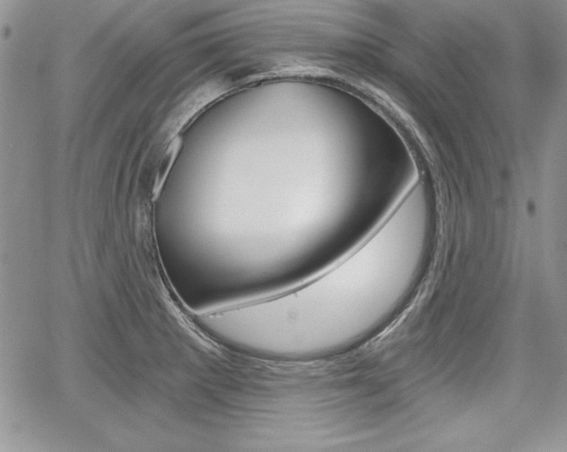 X0000068281281200604210907