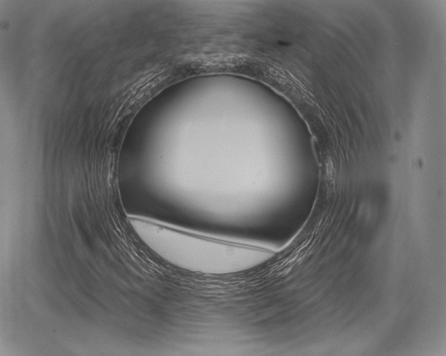 X0000068281300200604210906