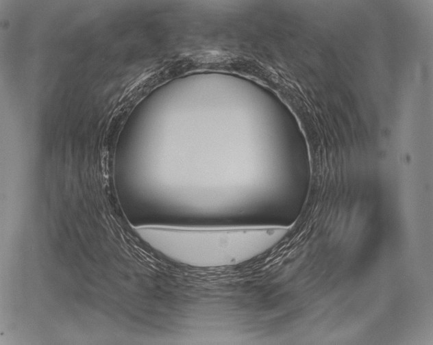 X0000068281301200604210906