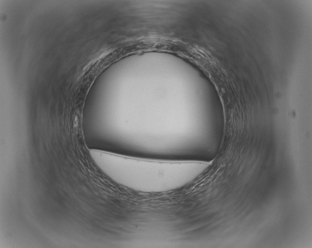 X0000068281302200604210906