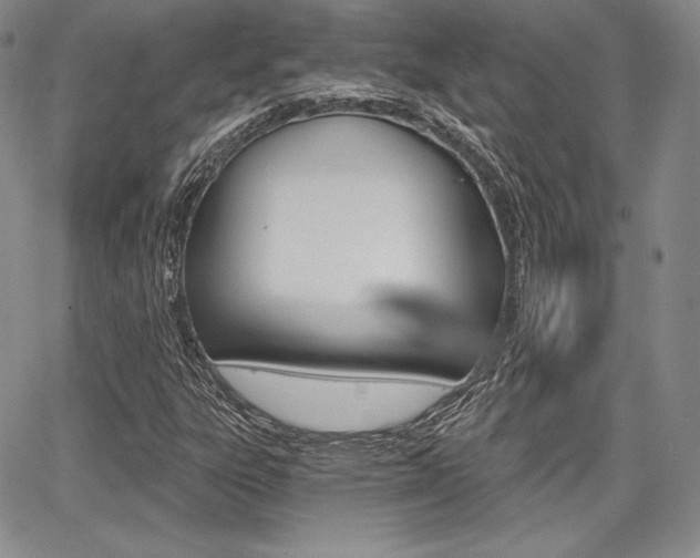 X0000068281303200604210906