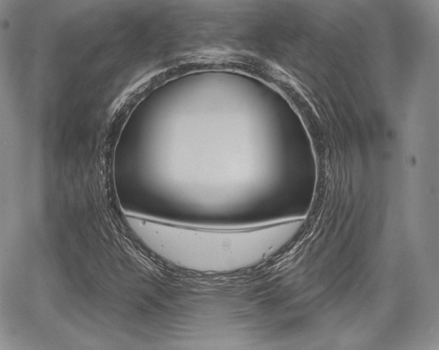 X0000068281304200604210906