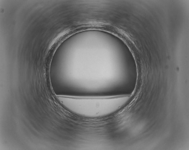 X0000068281307200604210906