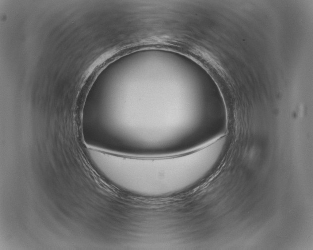 X0000068281308200604210906