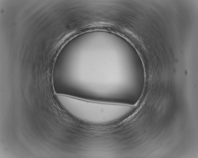 X0000068281313200604210906