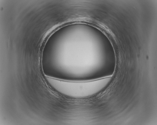 X0000068281316200604210906
