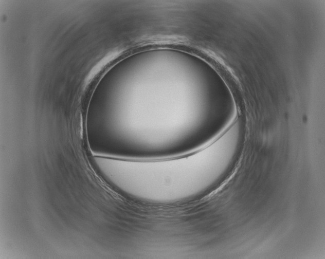 X0000068281317200604210906