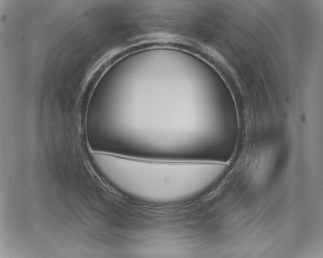 X0000068281318200604210906