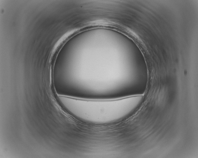 X0000068281323200604210906