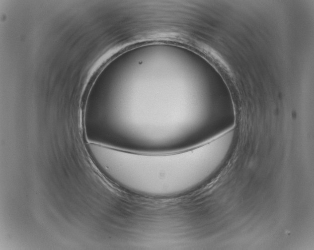 X0000068281324200604210906