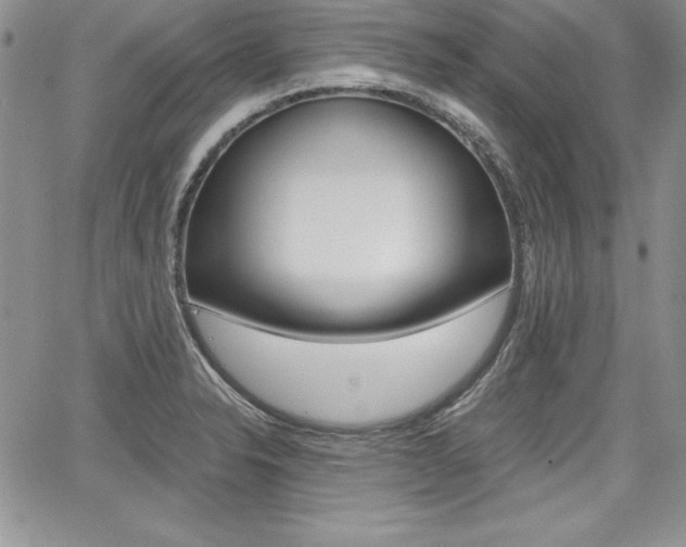 X0000068281326200604210906