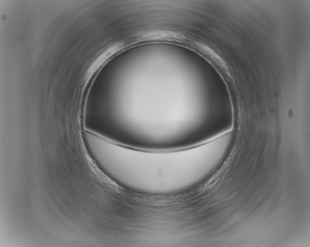 X0000068281330200604210906