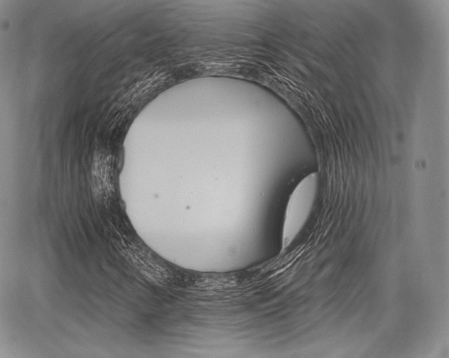 X0000068281346200604210905