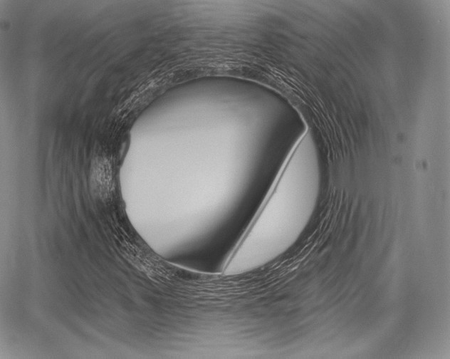 X0000068281347200604210905