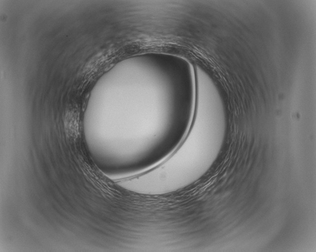 X0000068281348200604210905