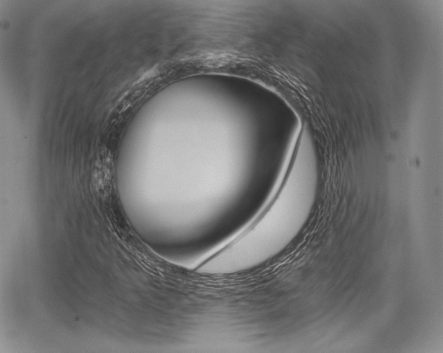 X0000068281349200604210905