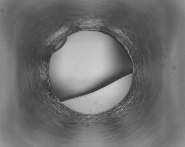 X0000068281350200604210905