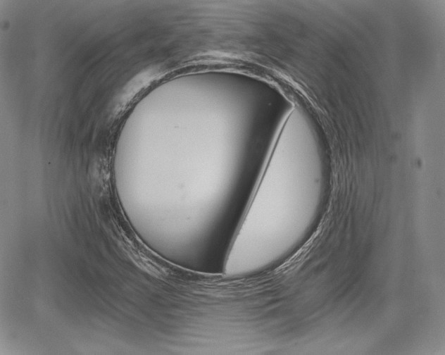 X0000068281355200604210905