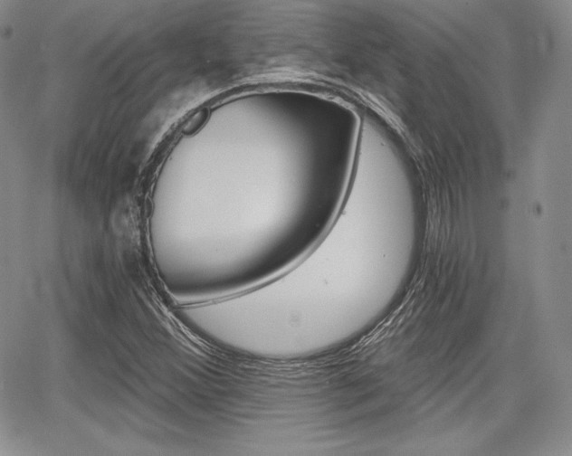 X0000068281356200604210905