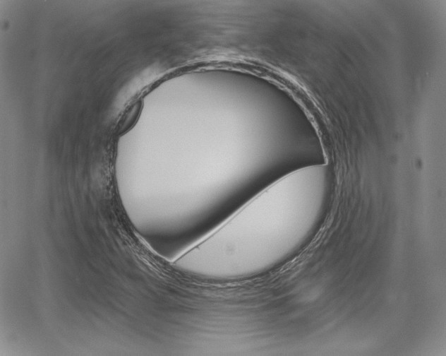 X0000068281359200604210905