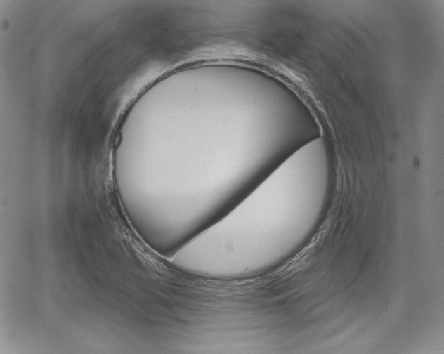 X0000068281366200604210905