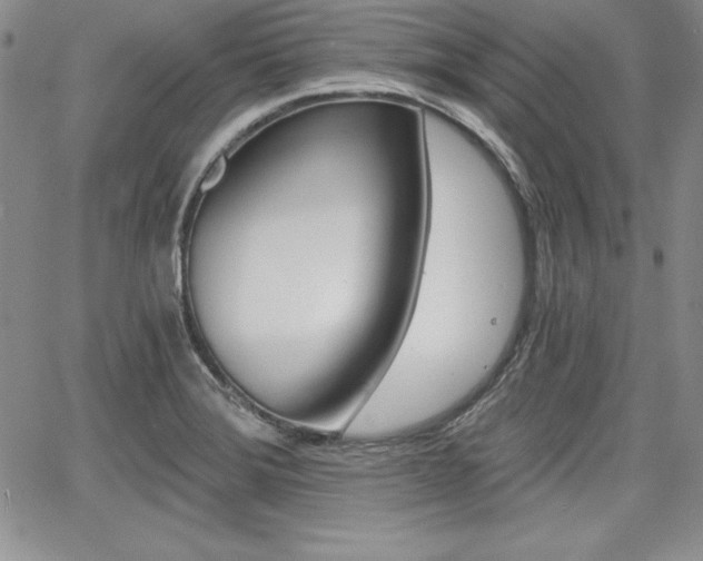 X0000068281372200604210905