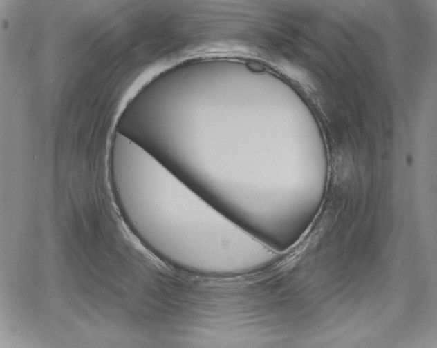 X0000068281374200604210905