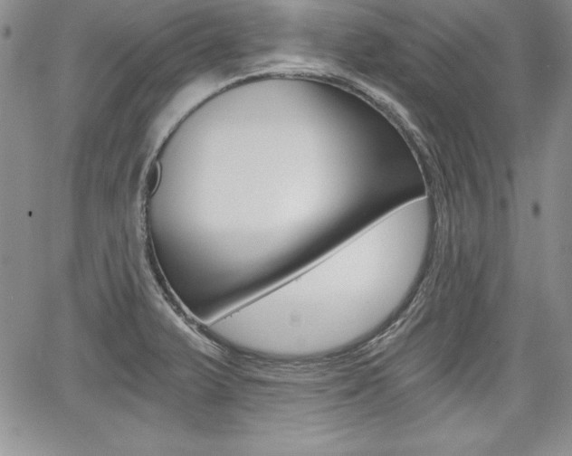 X0000068281375200604210905