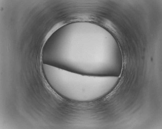 X0000068281378200604210905