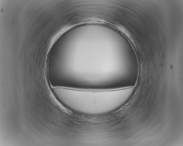 X0000068281379200604210905