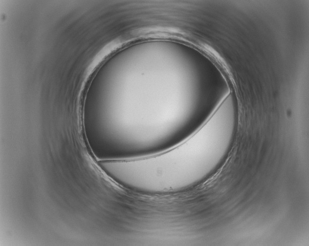 X0000068281384200604210905