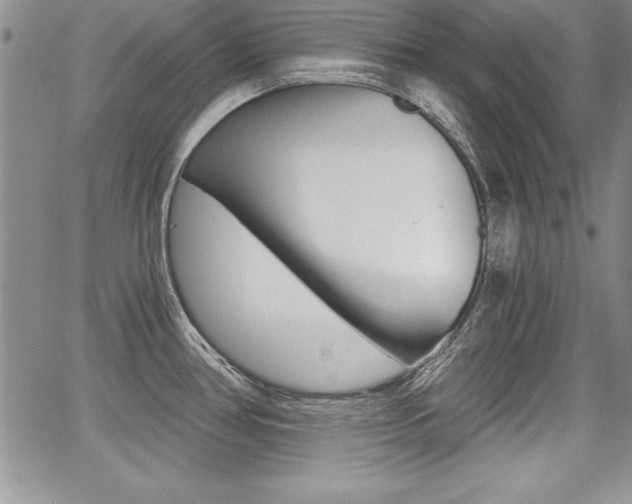 X0000068281386200604210905