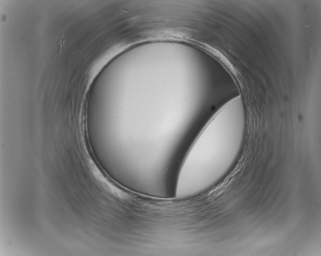 X0000068281387200604210905