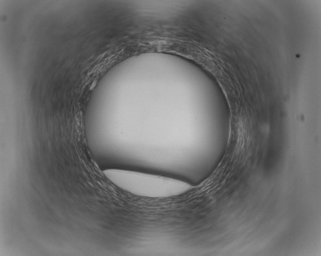 X0000068281397200604210904