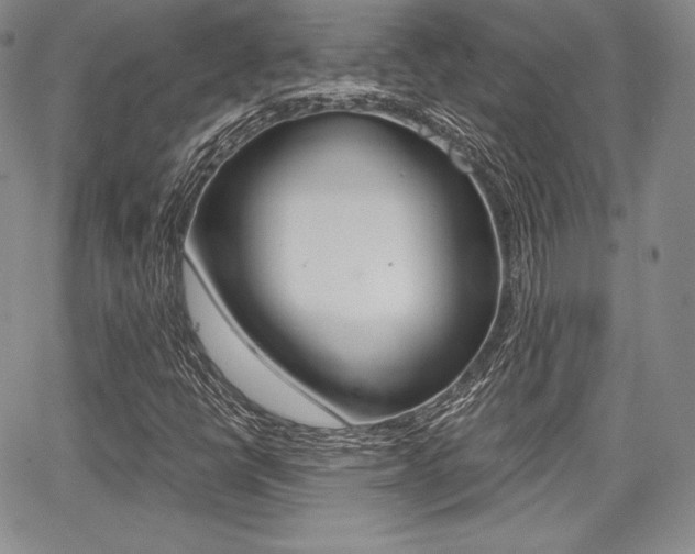 X0000068281398200604210904