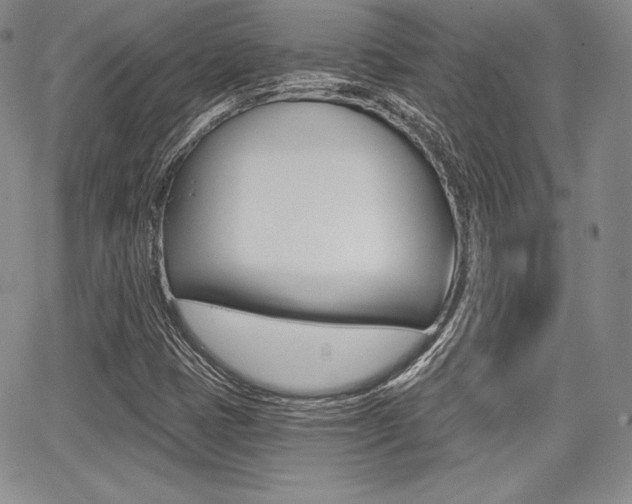 X0000068281401200604210904