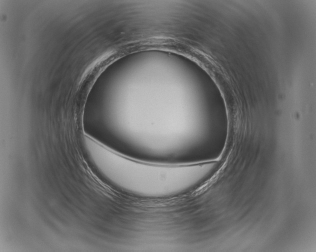 X0000068281402200604210904