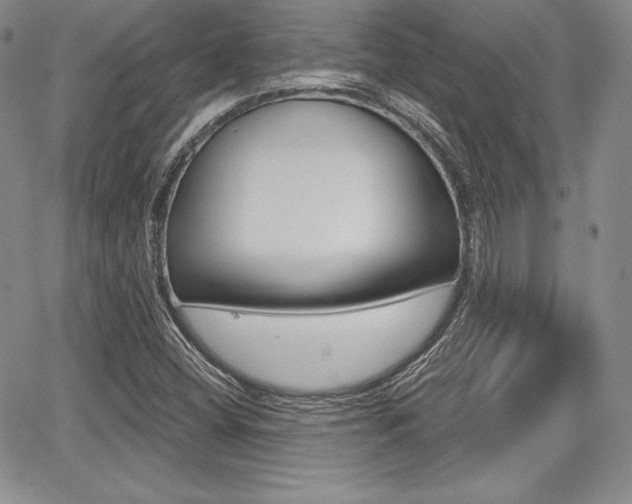 X0000068281404200604210904