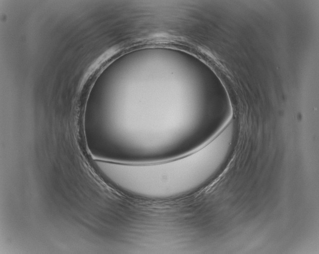 X0000068281410200604210904