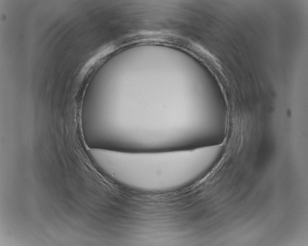 X0000068281411200604210904