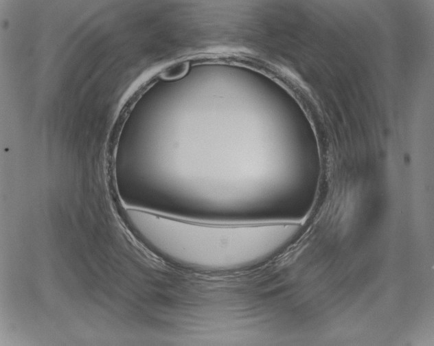 X0000068281412200604210904