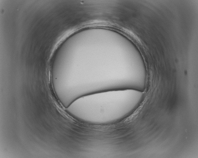 X0000068281413200604210904