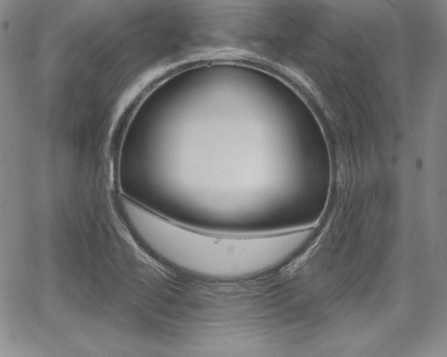 X0000068281414200604210904
