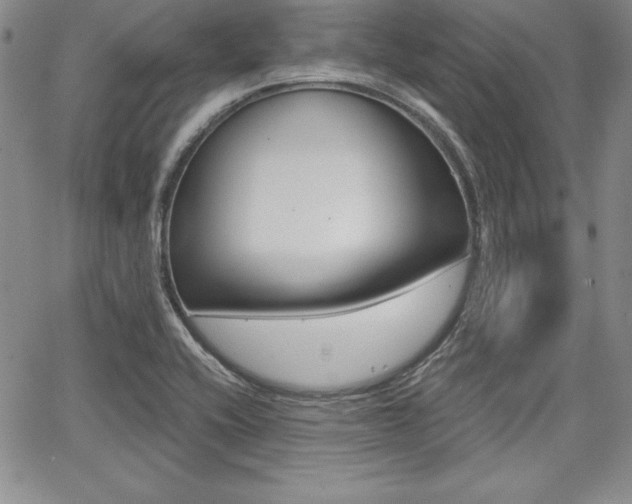 X0000068281416200604210904