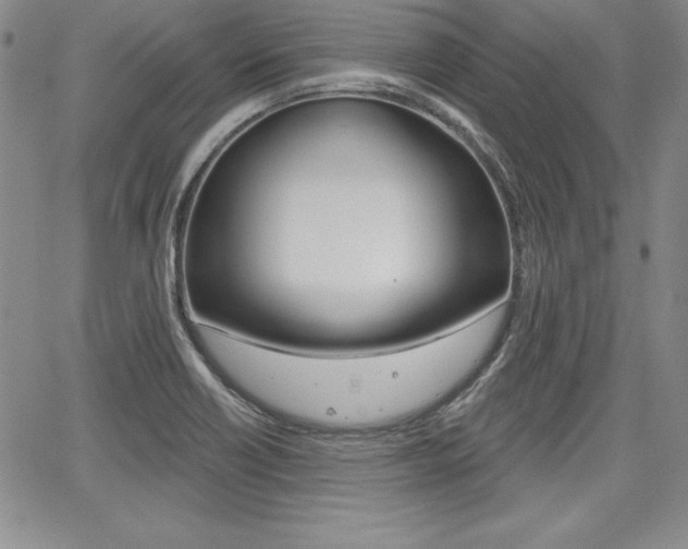 X0000068281418200604210904