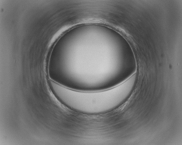 X0000068281422200604210904