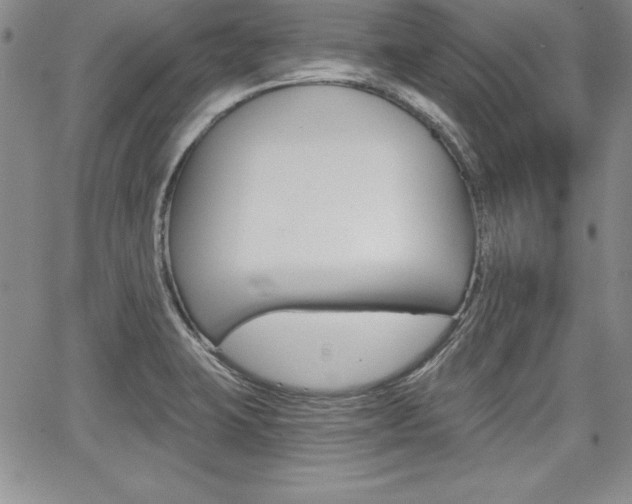X0000068281423200604210904
